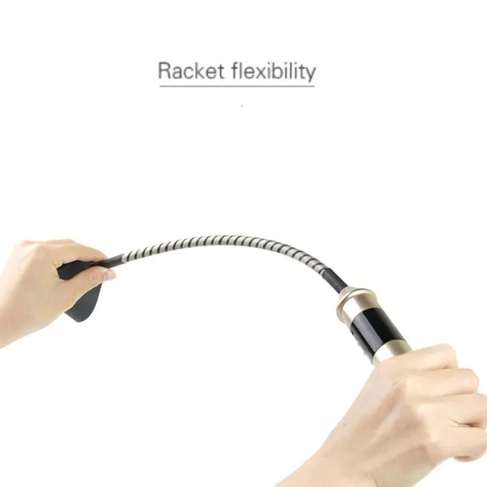 Vibrators FRISKY BUSINESS SG Roomfun Electric Whip