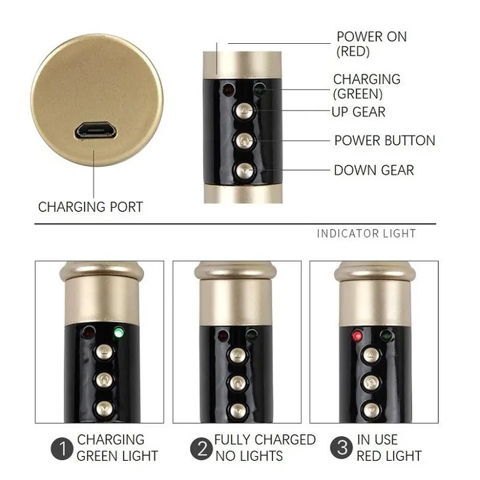 Vibrators FRISKY BUSINESS SG Roomfun Electric Whip