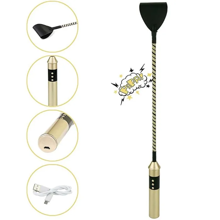 Vibrators FRISKY BUSINESS SG Roomfun Electric Whip