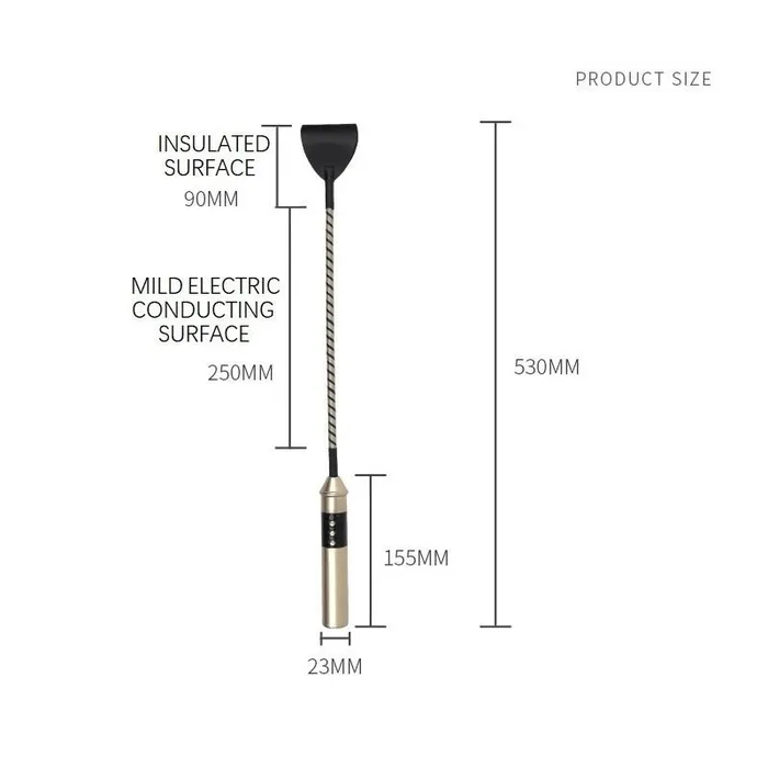 Vibrators FRISKY BUSINESS SG Roomfun Electric Whip