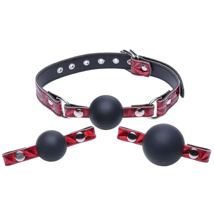 Interchangeable Silicone Ball Gag Master Series Male Sex Toys