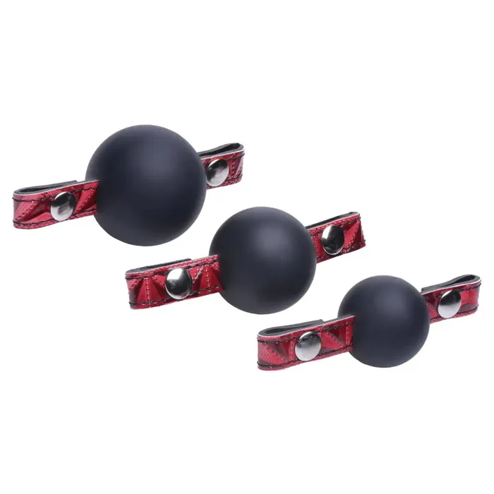 Interchangeable Silicone Ball Gag Master Series Male Sex Toys Interchangeable Silicone Ball Gag Master Series Male Sex Toys
