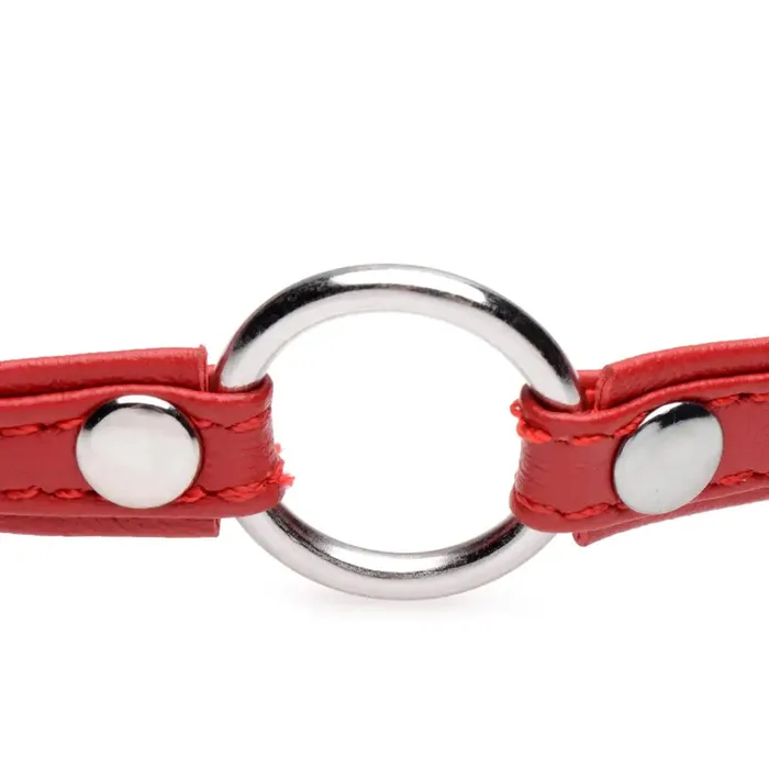 Master Series Fiery Pet Leather Choker With Silver Ring Male Sex Toys