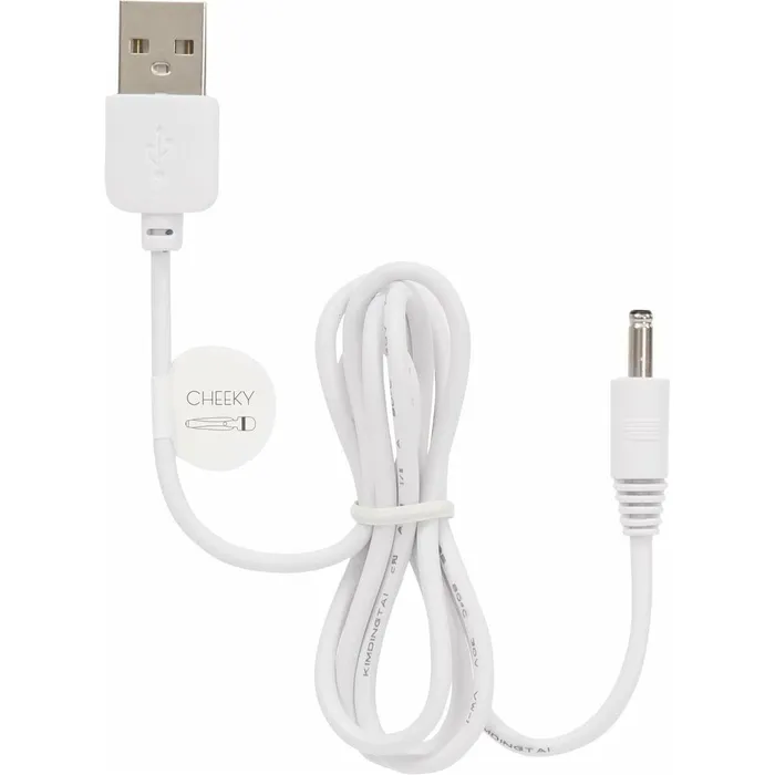 Pillow Talk Charging Cord Pillow Talk Cheeky Pillow Talk Vibrators