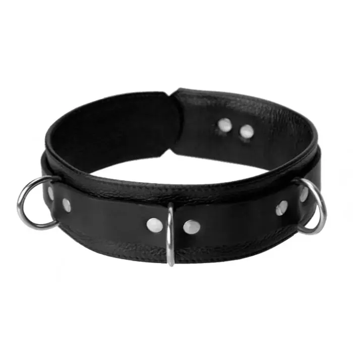 Strict Leather Couples Sick Puppy Leash And Collar Kit