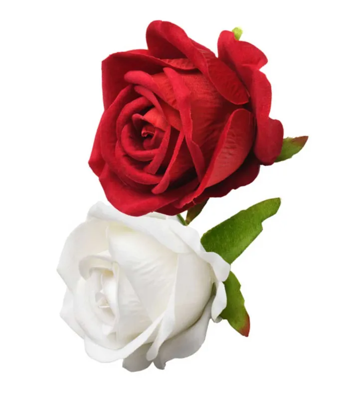 Rose Stimulator Lovers Gift Box XR Brands Vibrators
