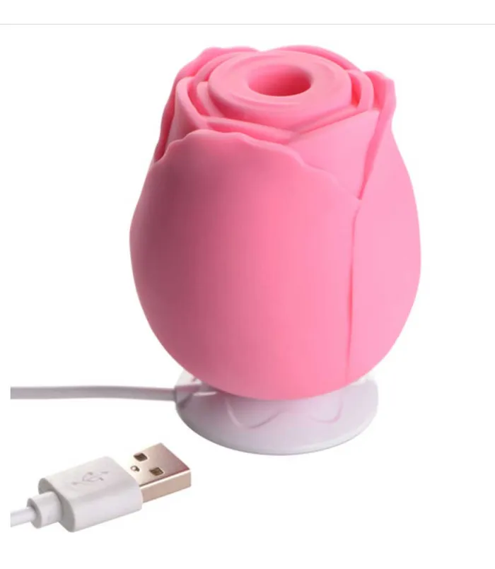 Rose Stimulator Lovers Gift Box XR Brands Vibrators